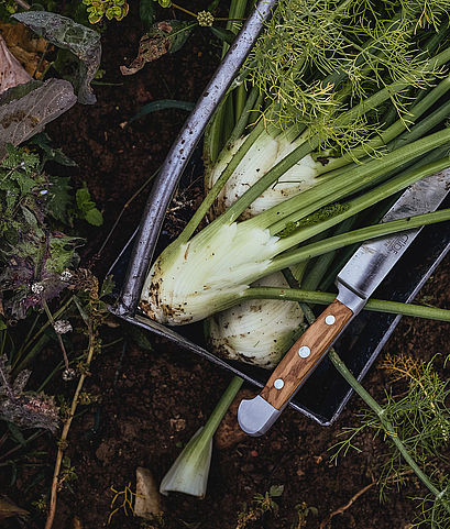 Frische Zutaten, Ackerliebe, Nachhaltige Gastronomie, Ernte frisch, Biologische Landwirtschaft