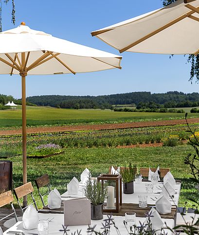 Frühstück Hotel, Hausgemacht, Regionale Produkte, Bio Frühstück, Genuss am Morgen